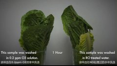 食品加工用臭氧延长保质期