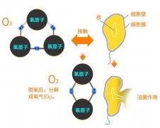 幼儿园臭氧消毒注意事项